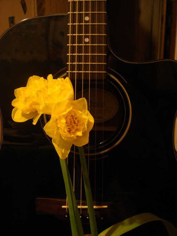 My guitar and daisies