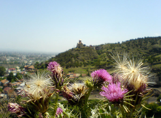A view from Nariyala fortress in Tbilisi, Georgia